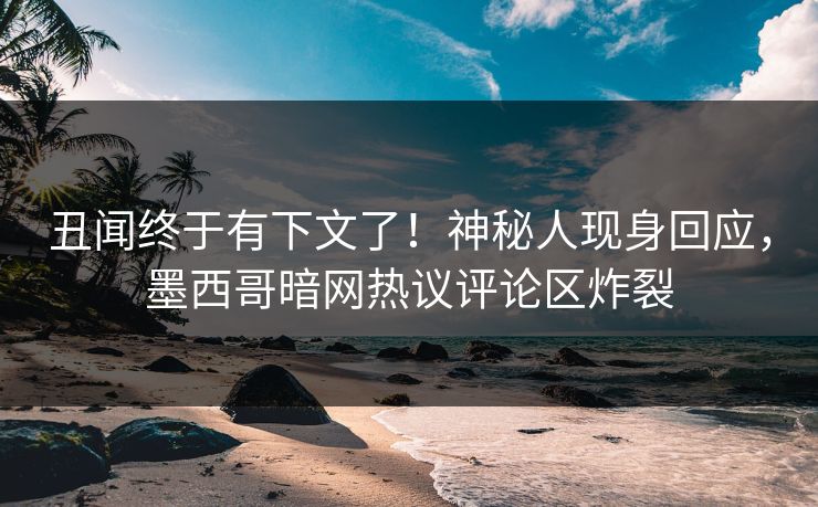 丑闻终于有下文了！神秘人现身回应，墨西哥暗网热议评论区炸裂