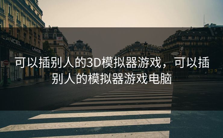 可以插别人的3D模拟器游戏，可以插别人的模拟器游戏电脑