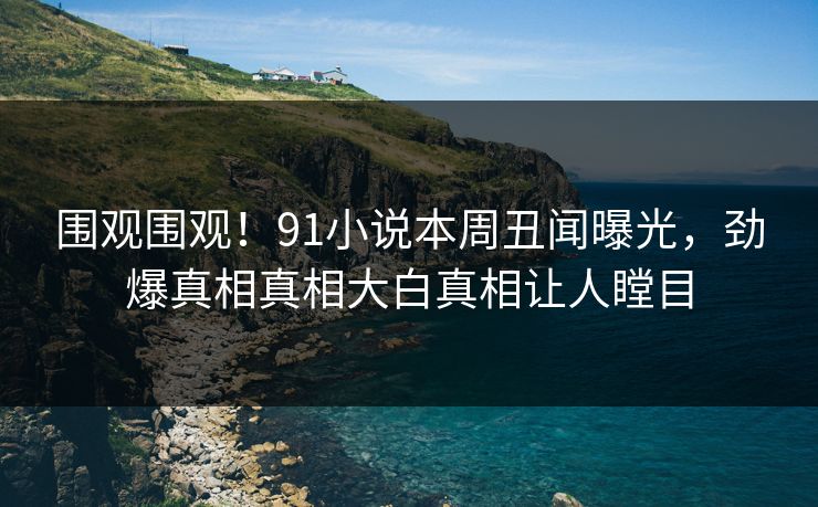 围观围观！91小说本周丑闻曝光，劲爆真相真相大白真相让人瞠目
