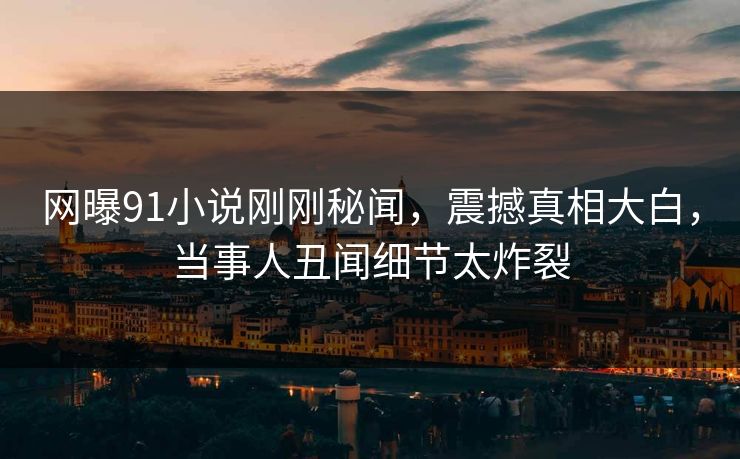 网曝91小说刚刚秘闻，震撼真相大白，当事人丑闻细节太炸裂