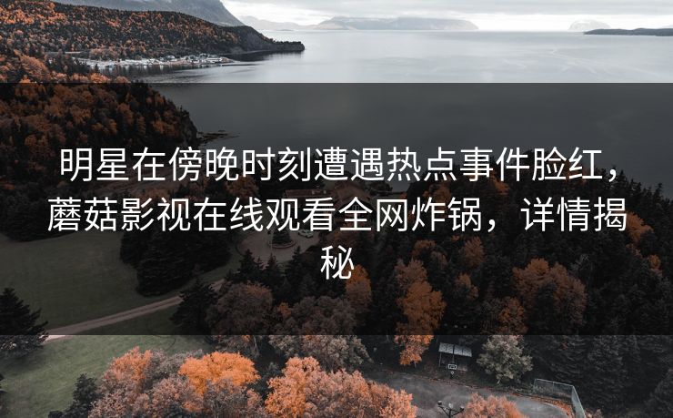 明星在傍晚时刻遭遇热点事件脸红，蘑菇影视在线观看全网炸锅，详情揭秘