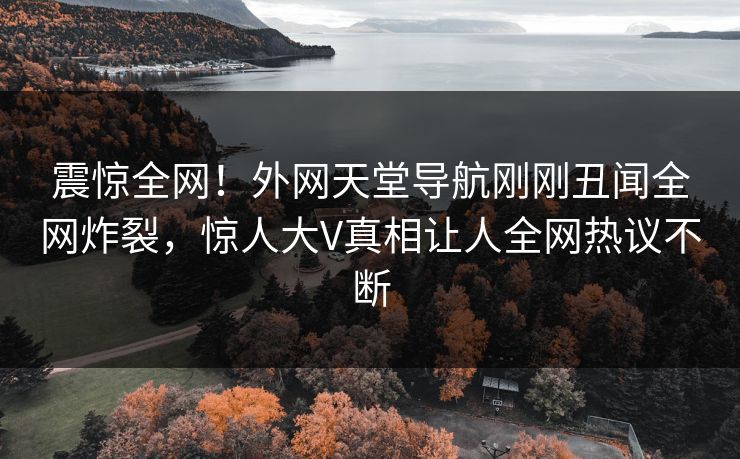 震惊全网！外网天堂导航刚刚丑闻全网炸裂，惊人大V真相让人全网热议不断