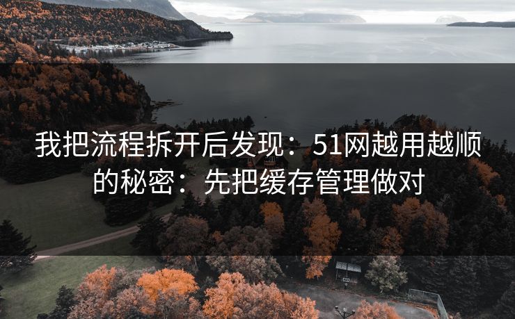 我把流程拆开后发现：51网越用越顺的秘密：先把缓存管理做对